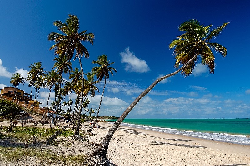 Litoral Sul Da Paraíba Saiba Quais São As Praias Principais