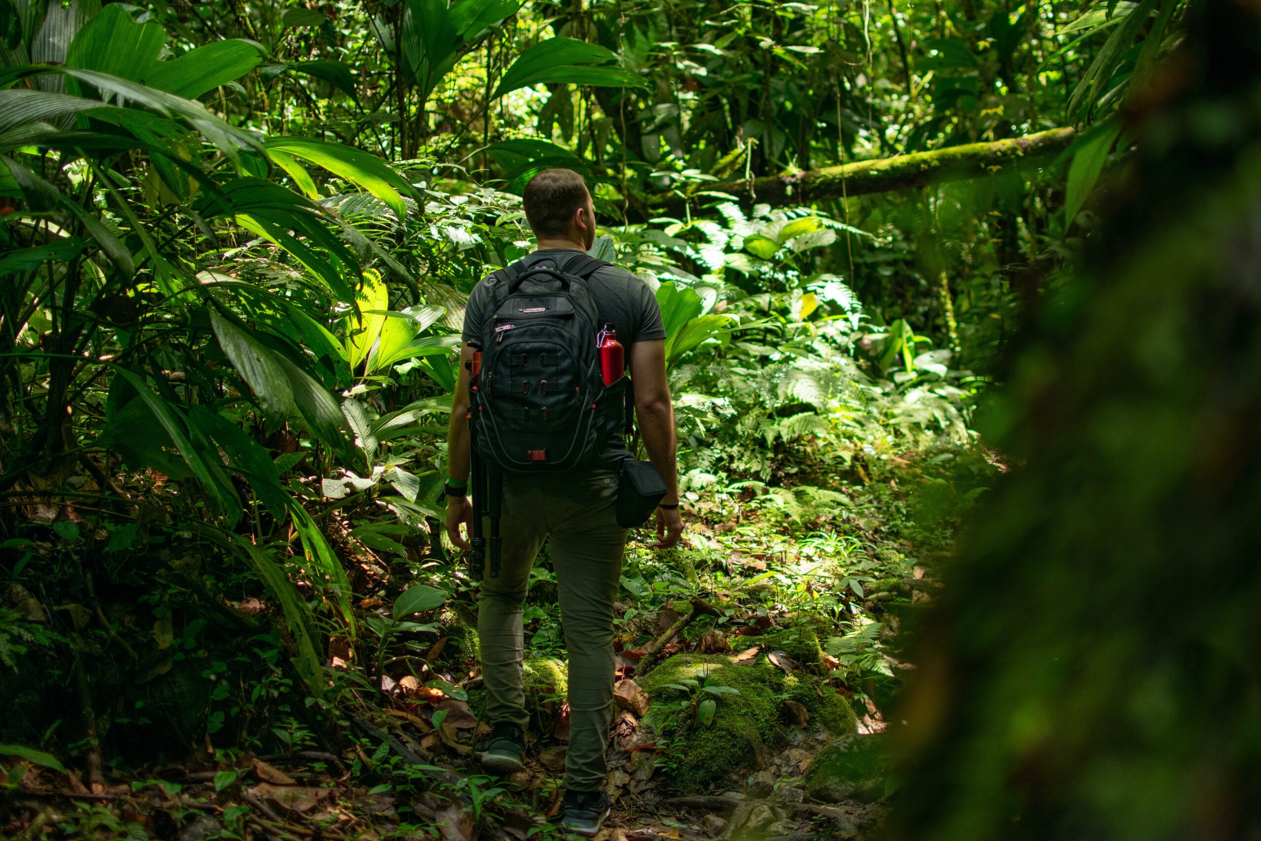 Pessoa sendo praticante de ecoturismo nas suas viagens